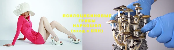 марки nbome Новокубанск