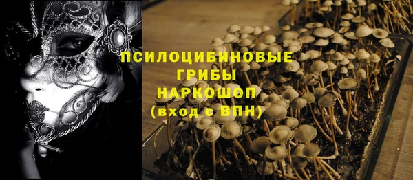 гашик Белоозёрский