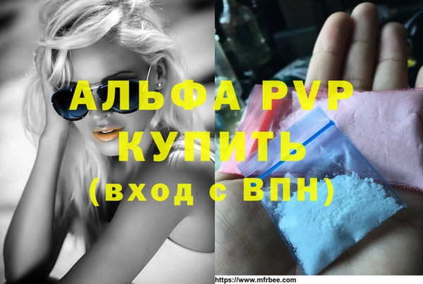ГАЛЛЮЦИНОГЕННЫЕ ГРИБЫ Новозыбков
