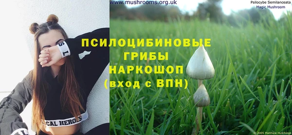 гашик Белоозёрский