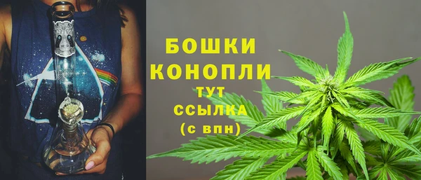 спайс Новодвинск