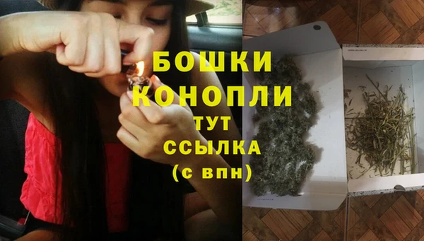 ГАЛЛЮЦИНОГЕННЫЕ ГРИБЫ Новозыбков