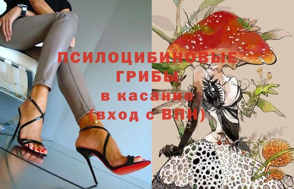 ГАЛЛЮЦИНОГЕННЫЕ ГРИБЫ Новозыбков