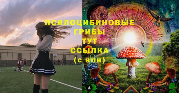 ГАЛЛЮЦИНОГЕННЫЕ ГРИБЫ Новозыбков