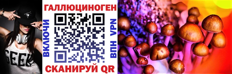 blacksprut маркетплейс Кузнецк Псилоцибиновые грибы мухоморы